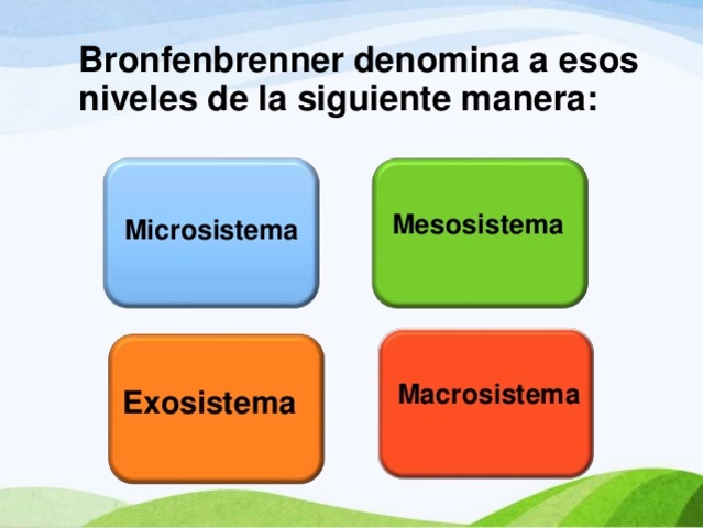 MICROSISTEMA / MESOSISTEMA / MACROSISTEMA