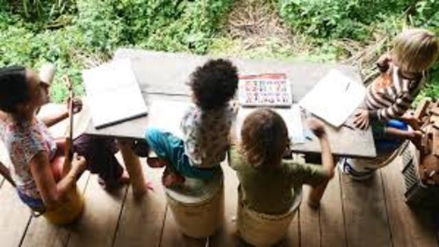 EXPERIMENTO ECOLÓGICO Y  TRANSFORMADOR