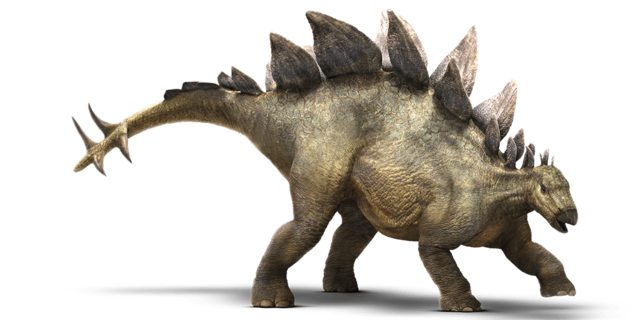 Stegosaurus
