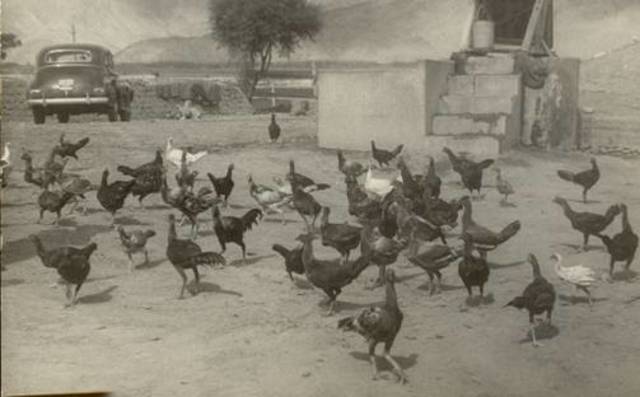 República Dominicana