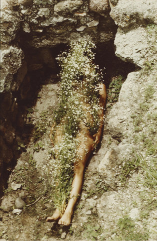 Ana Mendieta (1948 - 1985)