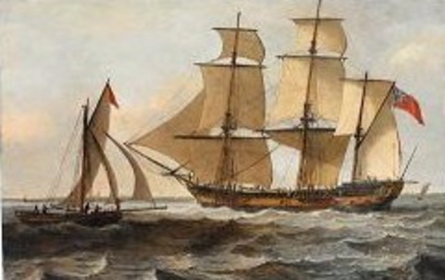 The third fleet arrives