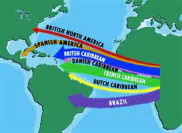 The Dutch Exporation