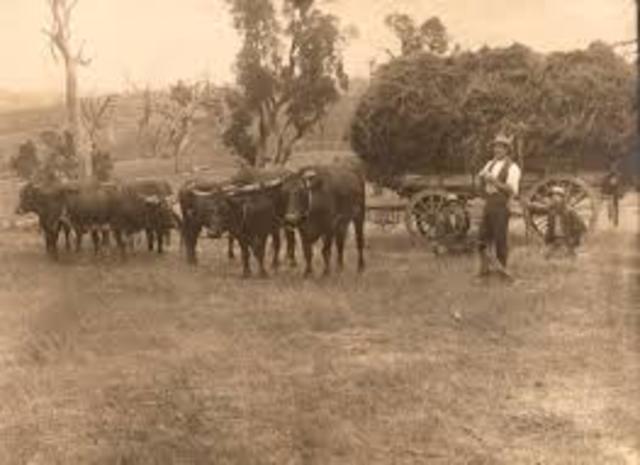 Squatters Were Living in Australia