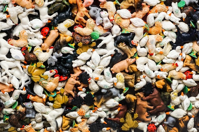 Second Voyage of Columbus