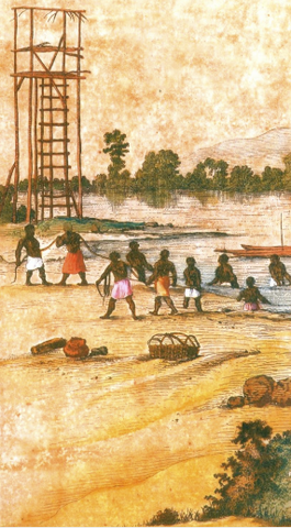 African Slaves in Brazil