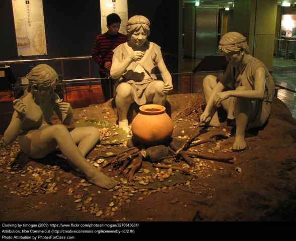 first cooking experiments