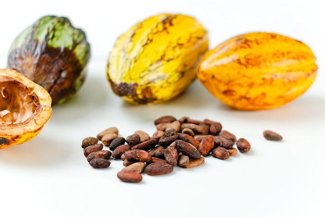 cacao introduced to Europeans
