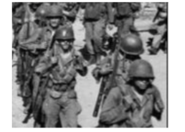 Executive Order 9981