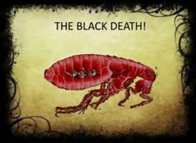 Black Death