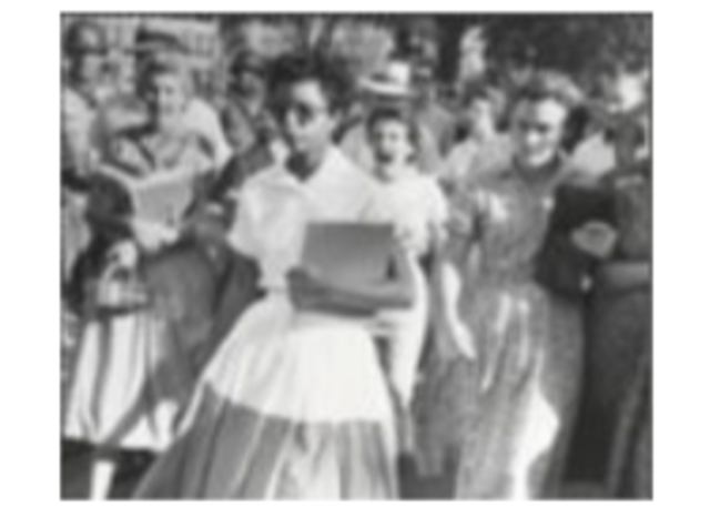 Brown v. Board of Education Ruling