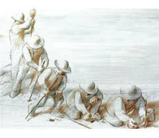 Elzéard commence à planter ses arbres