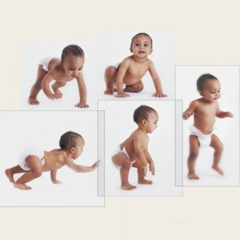 Rousseau, La adaptación a las etapas del desarrollo