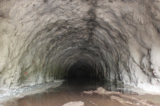 San Francisco se paraliza