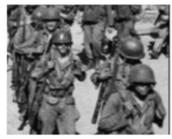 Executive order 9981