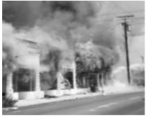 watts riot