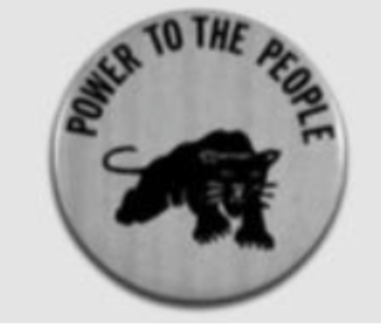 Black Panther Party Founded