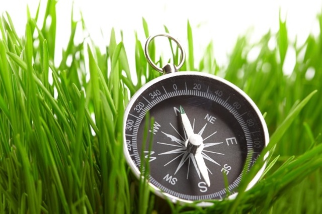 Nacimiento de la Orientación de manera formal.