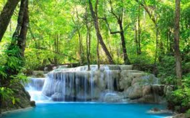 Taller de la Educación para la Conservación