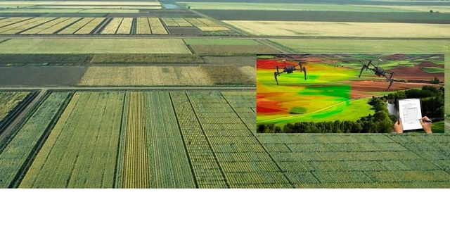 Agricultura de precisión.