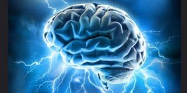 Erasistrato y Herófilo