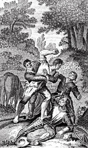 Don Quijote conoce a Cardenio