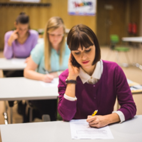 Pojavljuju se prvi tečajevi za knjižničare i knjižničarske škole