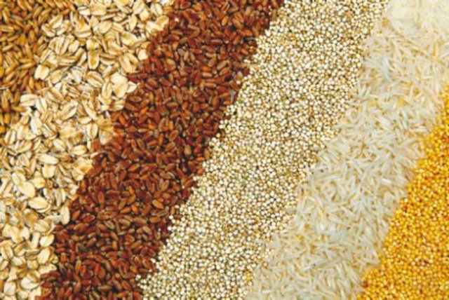 Liberación de los precios de los cereales.