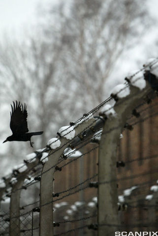 Bruno ziet een mysterieuze plek