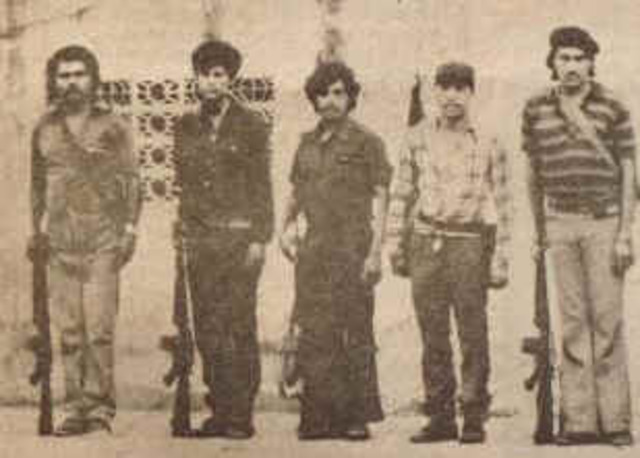 Ofensiva General del 81