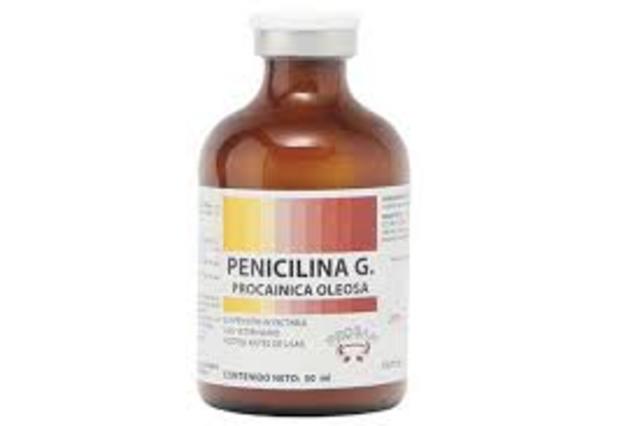 La penicilina