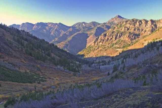 Brigham Young leading