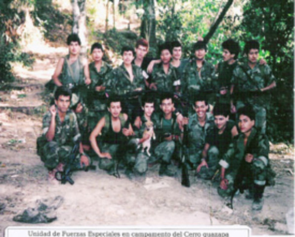 Creación de las Fuerzas Armadas de Liberación, FAL