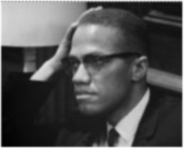 Advocates for Black Nationalism