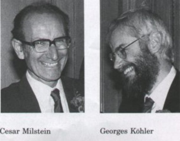 Descubrimeinto anticuerpos