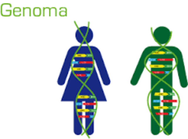 Se completa el Genoma Humano