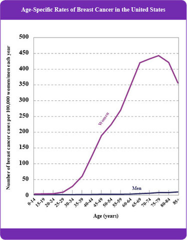 Begin breast cancer screening