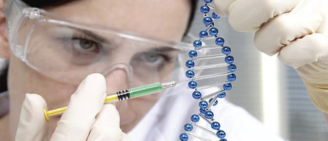 Premio Nobel por el descubrimiento de la quimioterapia