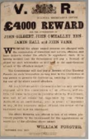 Diggers offered gold if they found gold