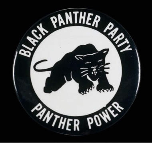The Black Panthers