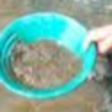 Gold was mined at colbar