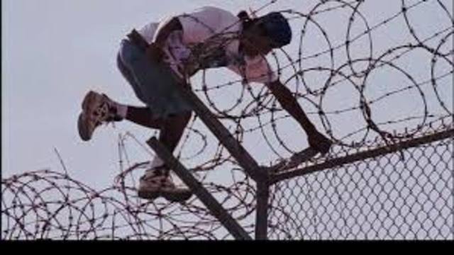 Barbed wire - Joseph Glidden