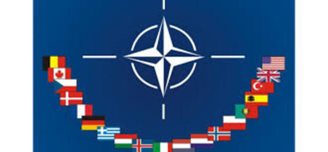 La Organización del Tratado del Atlántico Norte (OTAN)