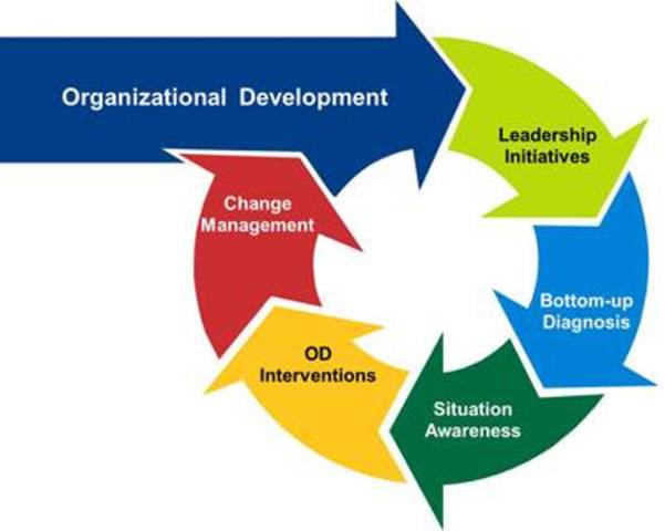 Organizational Development (OD)