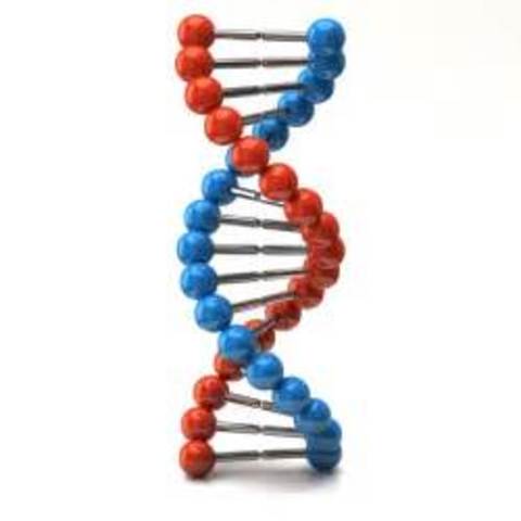 DNA Test in Criminal cases