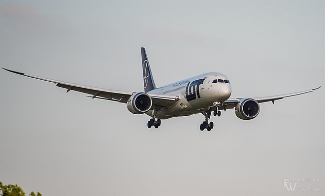 Traveled from  Rome to New York