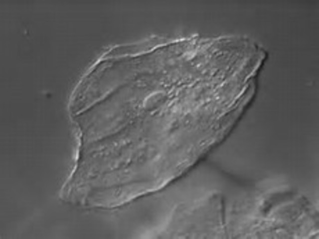 Even More Progress...