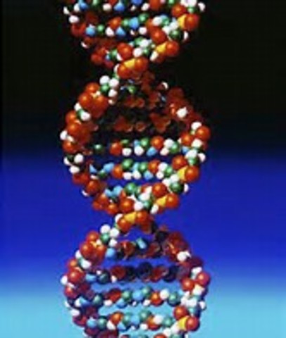 Oh Look! More Progress