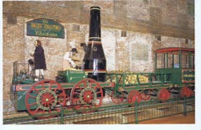 The Best Friend of Charleston