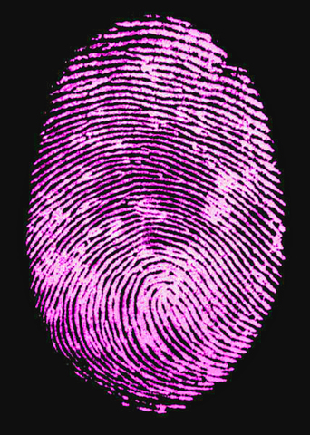 Fingerprints found to be unique